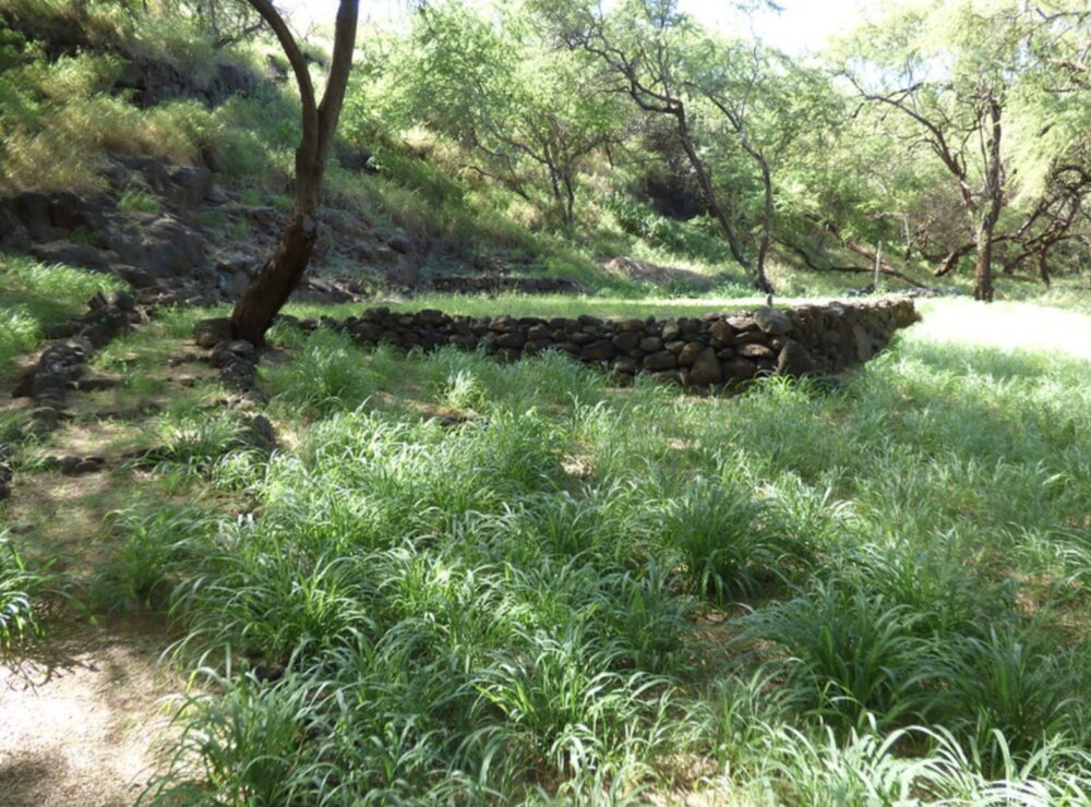 Wildfire presentation and invasive grasses